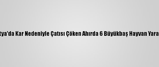 Malatya'da Kar Nedeniyle Çatısı Çöken Ahırda 6 Büyükbaş Hayvan Yaralandı