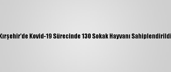 Kırşehir'de Kovid-19 Sürecinde 130 Sokak Hayvanı Sahiplendirildi