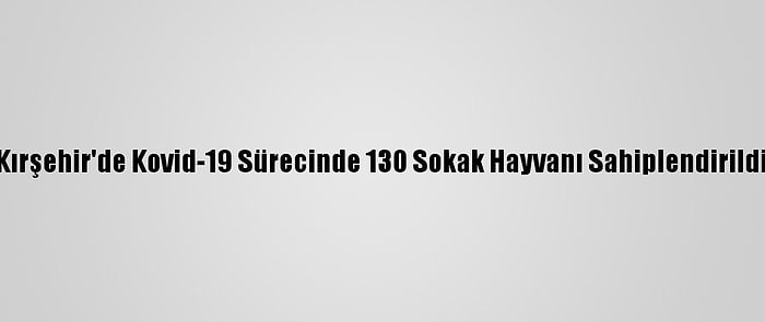 Kırşehir'de Kovid-19 Sürecinde 130 Sokak Hayvanı Sahiplendirildi