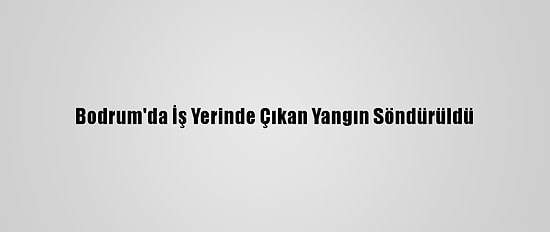 Bodrum'da İş Yerinde Çıkan Yangın Söndürüldü