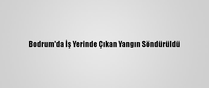 Bodrum'da İş Yerinde Çıkan Yangın Söndürüldü