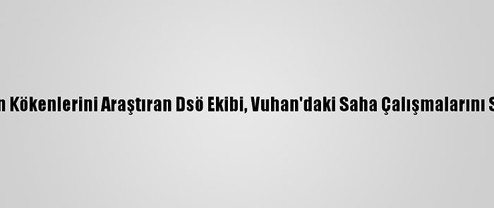 Kovid-19'Un Kökenlerini Araştıran Dsö Ekibi, Vuhan'daki Saha Çalışmalarını Sürdürüyor