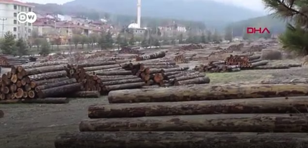 Peki bu tesisler için neden ormanlar tercih ediliyor?