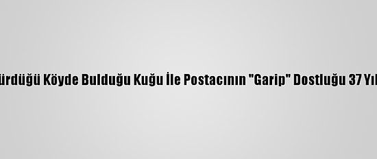 Mektup Götürdüğü Köyde Bulduğu Kuğu İle Postacının "Garip" Dostluğu 37 Yıldır Sürüyor