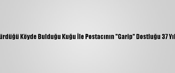 Mektup Götürdüğü Köyde Bulduğu Kuğu İle Postacının "Garip" Dostluğu 37 Yıldır Sürüyor