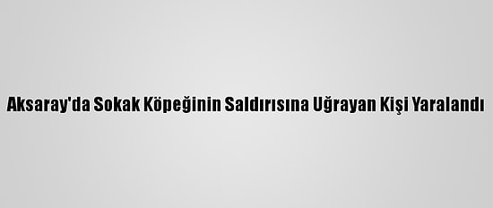 Aksaray'da Sokak Köpeğinin Saldırısına Uğrayan Kişi Yaralandı