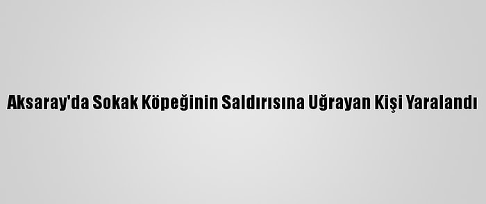 Aksaray'da Sokak Köpeğinin Saldırısına Uğrayan Kişi Yaralandı