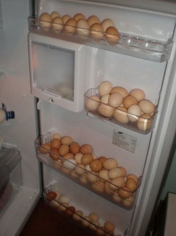 16. Обычно, после выходных, холодильник забит привезенными из дома продуктами