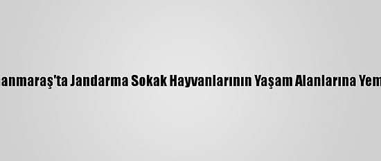 Kahramanmaraş'ta Jandarma Sokak Hayvanlarının Yaşam Alanlarına Yem Bıraktı