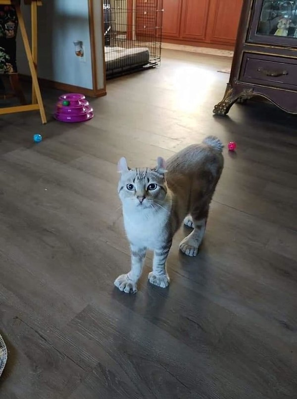 7. Пальцев много не бывает)