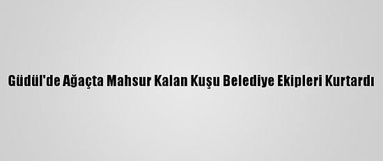 Güdül'de Ağaçta Mahsur Kalan Kuşu Belediye Ekipleri Kurtardı