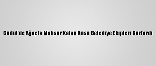 Kapak Görseli