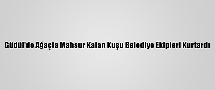 Güdül'de Ağaçta Mahsur Kalan Kuşu Belediye Ekipleri Kurtardı