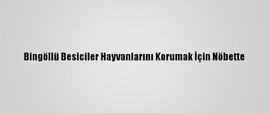 Bingöllü Besiciler Hayvanlarını Korumak İçin Nöbette
