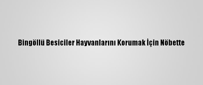 Bingöllü Besiciler Hayvanlarını Korumak İçin Nöbette