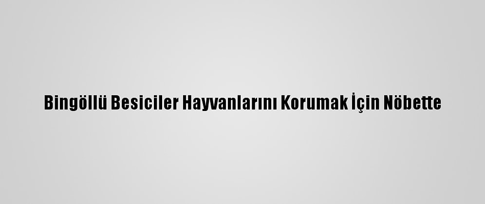 Bingöllü Besiciler Hayvanlarını Korumak İçin Nöbette