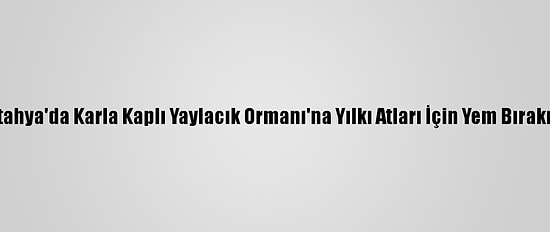Kütahya'da Karla Kaplı Yaylacık Ormanı'na Yılkı Atları İçin Yem Bırakıldı