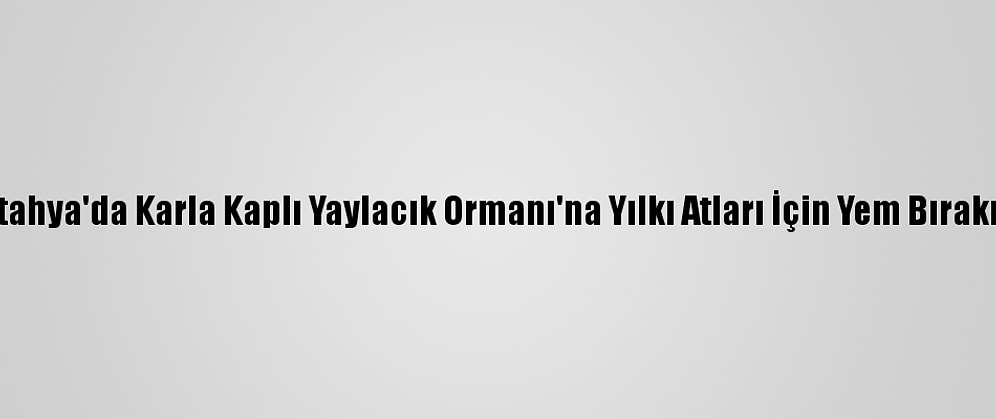 Kütahya'da Karla Kaplı Yaylacık Ormanı'na Yılkı Atları İçin Yem Bırakıldı