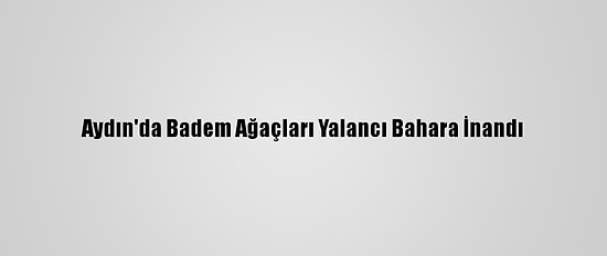 Aydın'da Badem Ağaçları Yalancı Bahara İnandı