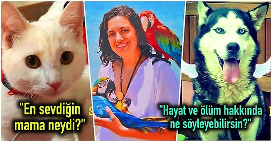 Melek Olup Giden Tüylü Dostlarımızla İletişim Kurduğunu İddia Eden Kadın: Başak Pirtini