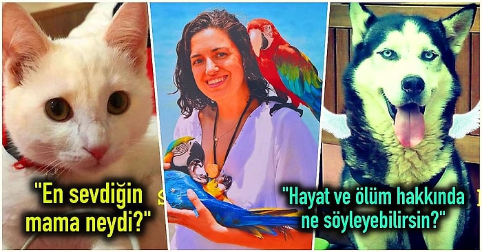 Melek Olup Giden Tüylü Dostlarımızla İletişim Kurduğunu İddia Eden Kadın: Başak Pirtini