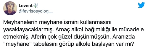 'Meyhane' İsmine Getirilen Yasak Alay Konusu Oldu: 'Rehabilitasyon Merkezi Diyelim...'