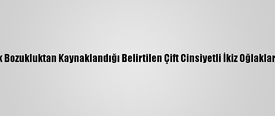 Osmaniye'de Genetik Bozukluktan Kaynaklandığı Belirtilen Çift Cinsiyetli İkiz Oğlaklar Görenleri Şaşırtıyor