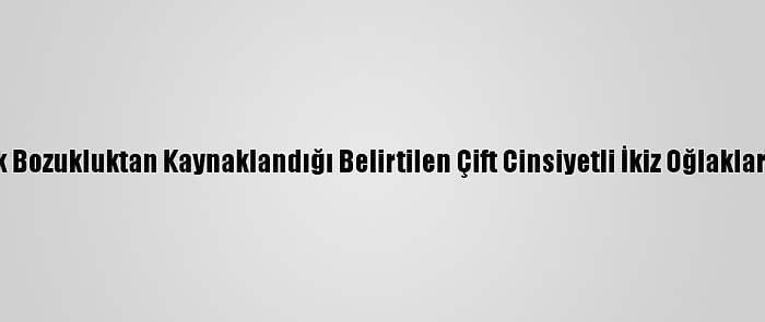 Osmaniye'de Genetik Bozukluktan Kaynaklandığı Belirtilen Çift Cinsiyetli İkiz Oğlaklar Görenleri Şaşırtıyor