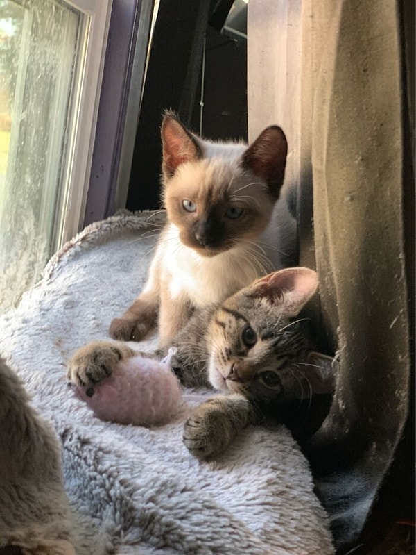 4. Вы этого не видите, но эти двое разрушили мою депрессию. Они спасли мою жизнь и дали мне цель