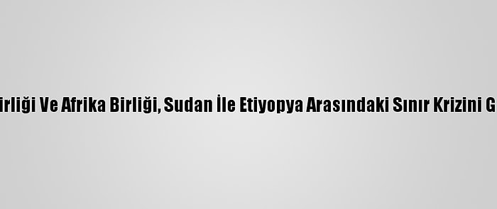 Arap Birliği Ve Afrika Birliği, Sudan İle Etiyopya Arasındaki Sınır Krizini Görüştü