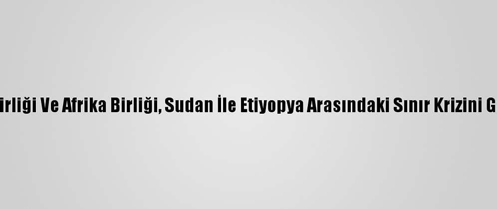 Arap Birliği Ve Afrika Birliği, Sudan İle Etiyopya Arasındaki Sınır Krizini Görüştü