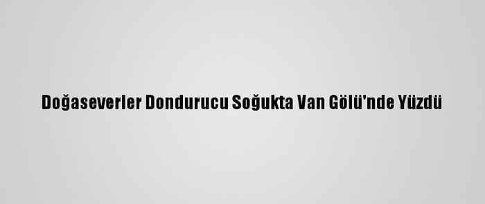 Doğaseverler Dondurucu Soğukta Van Gölü'nde Yüzdü