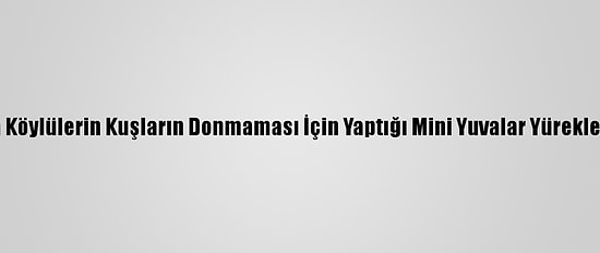 Kars'ta Köylülerin Kuşların Donmaması İçin Yaptığı Mini Yuvalar Yürekleri Isıttı