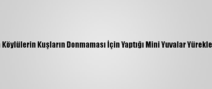 Kars'ta Köylülerin Kuşların Donmaması İçin Yaptığı Mini Yuvalar Yürekleri Isıttı