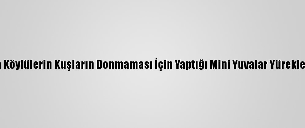 Kars'ta Köylülerin Kuşların Donmaması İçin Yaptığı Mini Yuvalar Yürekleri Isıttı