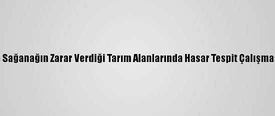 Mersin'de Sağanağın Zarar Verdiği Tarım Alanlarında Hasar Tespit Çalışması Başladı