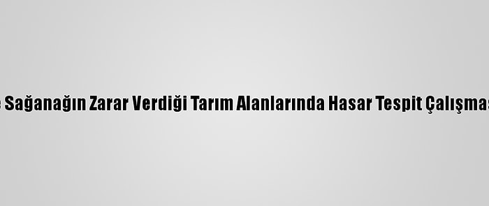 Mersin'de Sağanağın Zarar Verdiği Tarım Alanlarında Hasar Tespit Çalışması Başladı