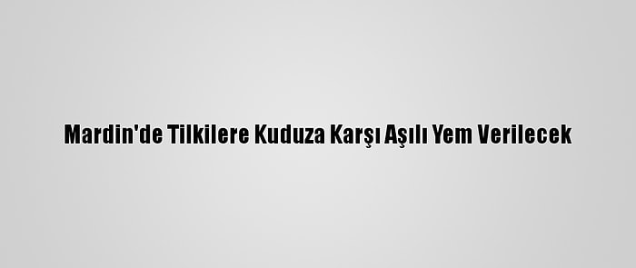 Mardin'de Tilkilere Kuduza Karşı Aşılı Yem Verilecek