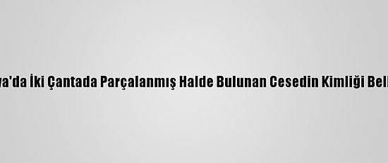 Sakarya'da İki Çantada Parçalanmış Halde Bulunan Cesedin Kimliği Belirlendi
