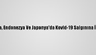 Pakistan, Malezya, Endonezya Ve Japonya'da Kovid-19 Salgınına İlişkin Gelişmeler