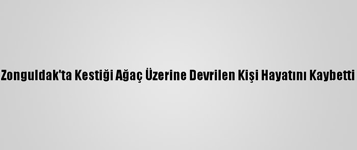 Zonguldak'ta Kestiği Ağaç Üzerine Devrilen Kişi Hayatını Kaybetti