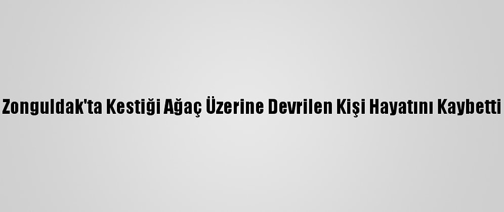 Zonguldak'ta Kestiği Ağaç Üzerine Devrilen Kişi Hayatını Kaybetti