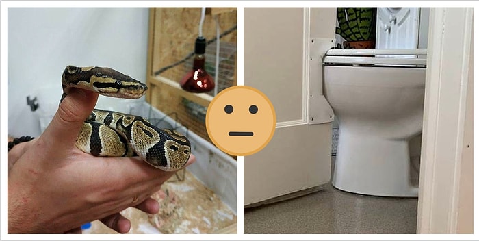 15 раз, когда люди арендовывали квартиру...с сюрпризом (и не всегда приятным)