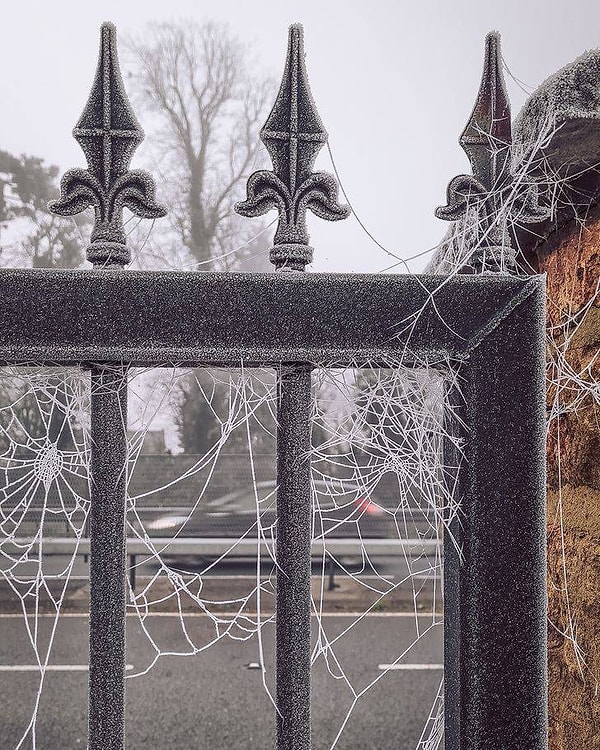 9. "Заледеневшие паутины".