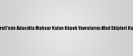 Kırklareli'nde Adacıkta Mahsur Kalan Köpek Yavrularını Afad Ekipleri Kurtardı