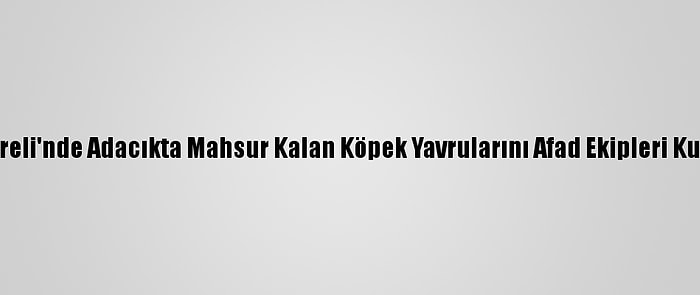 Kırklareli'nde Adacıkta Mahsur Kalan Köpek Yavrularını Afad Ekipleri Kurtardı