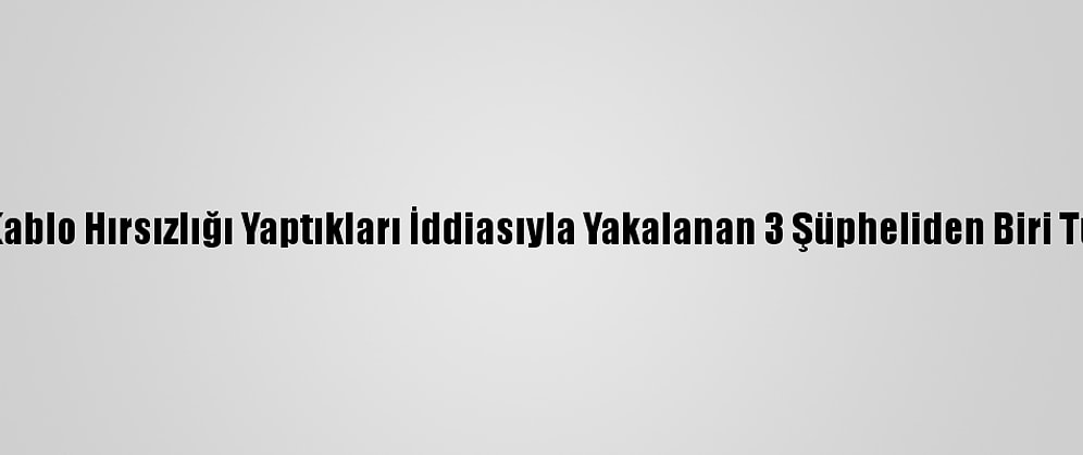 Ordu'da Kablo Hırsızlığı Yaptıkları İddiasıyla Yakalanan 3 Şüpheliden Biri Tutuklandı