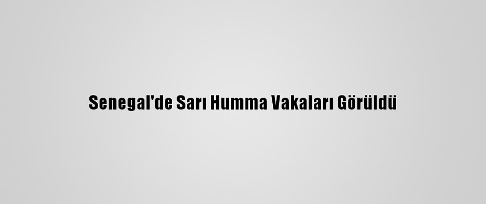 Senegal'de Sarı Humma Vakaları Görüldü