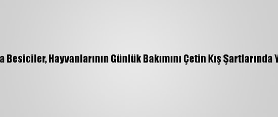 Sivas'ta Besiciler, Hayvanlarının Günlük Bakımını Çetin Kış Şartlarında Yapıyor