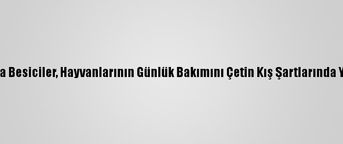 Sivas'ta Besiciler, Hayvanlarının Günlük Bakımını Çetin Kış Şartlarında Yapıyor